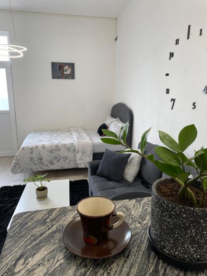 Apartmani Andric เทรบินเย ภายนอก รูปภาพ